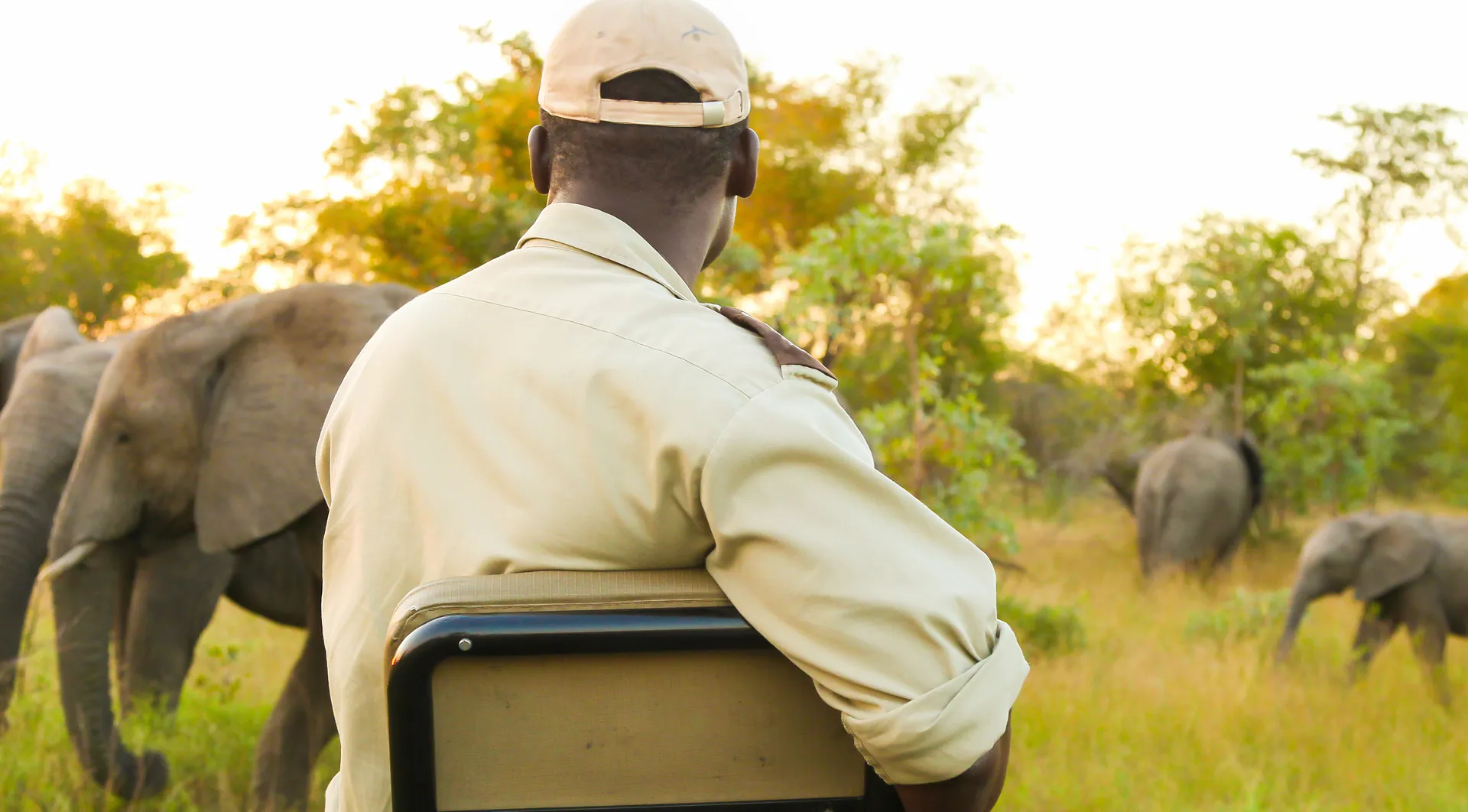 East African safari landscape