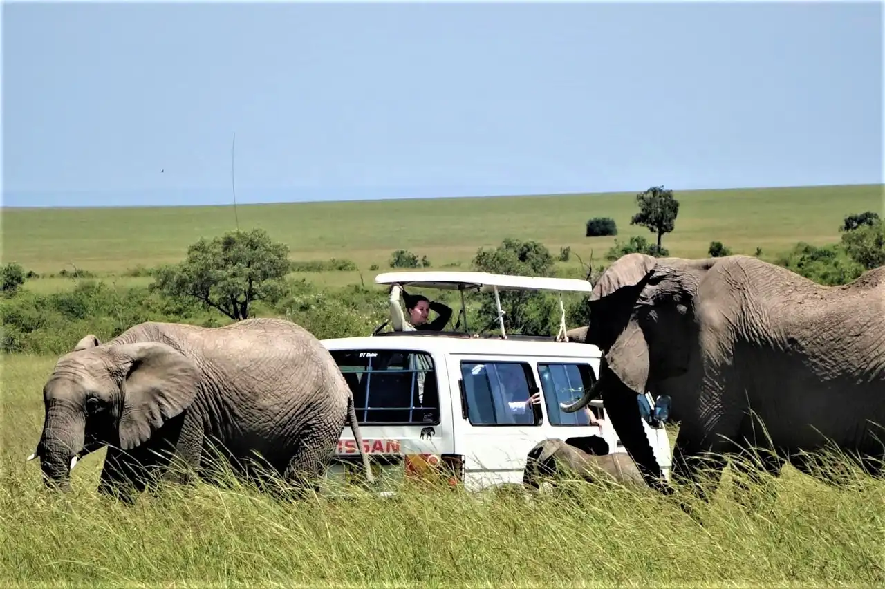 Budget Tours