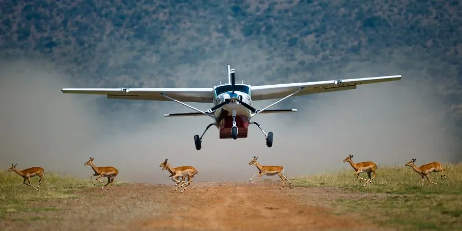Flight Safaris