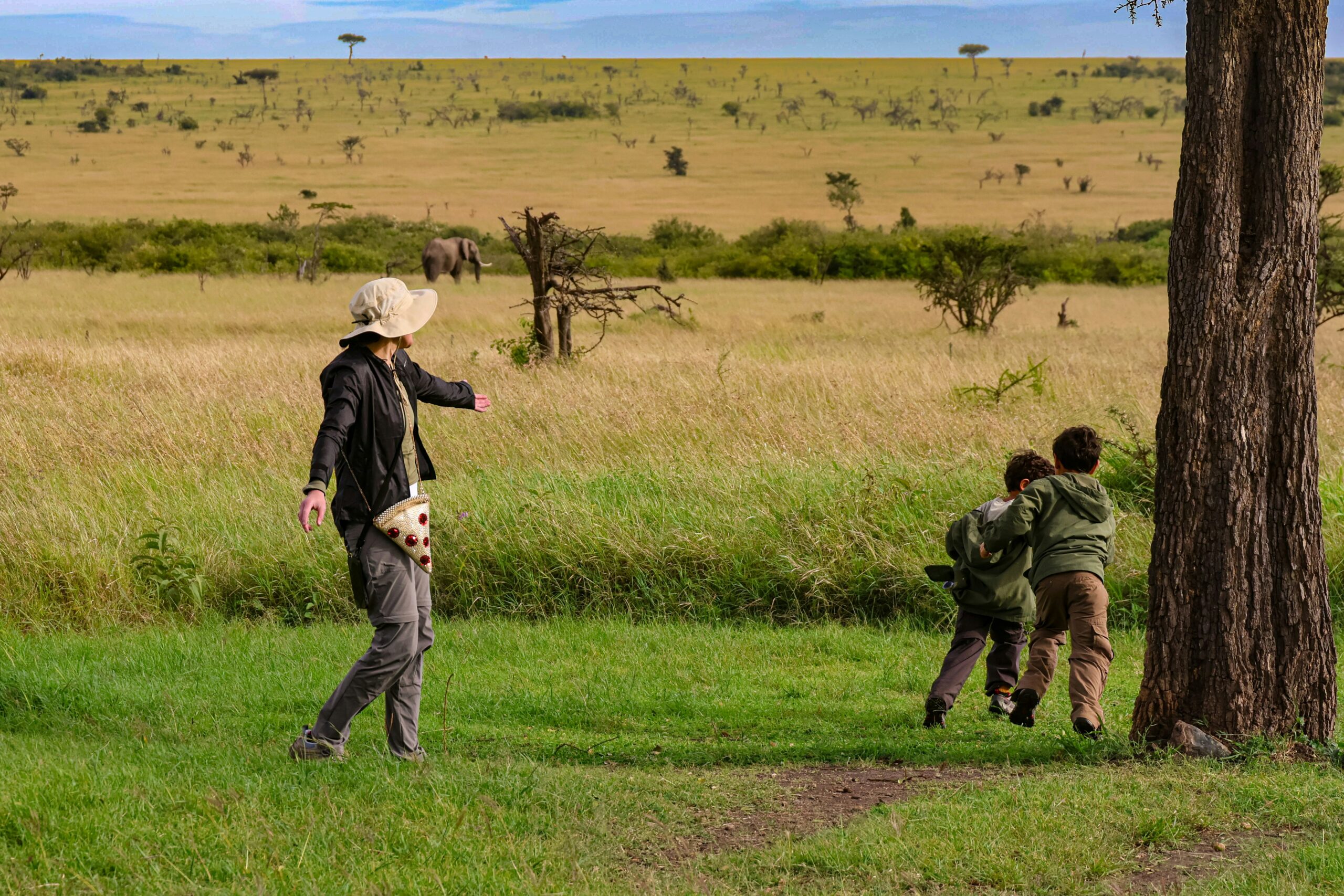 Educational Wildlife Activities