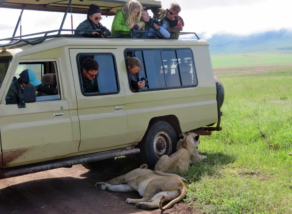 Child-Safe Safari Vehicles