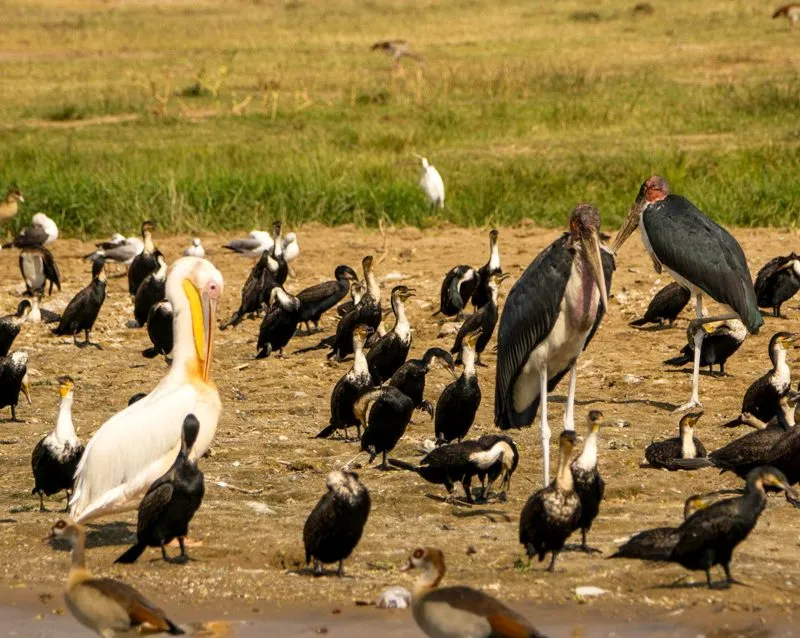 East Africa Grand Tour