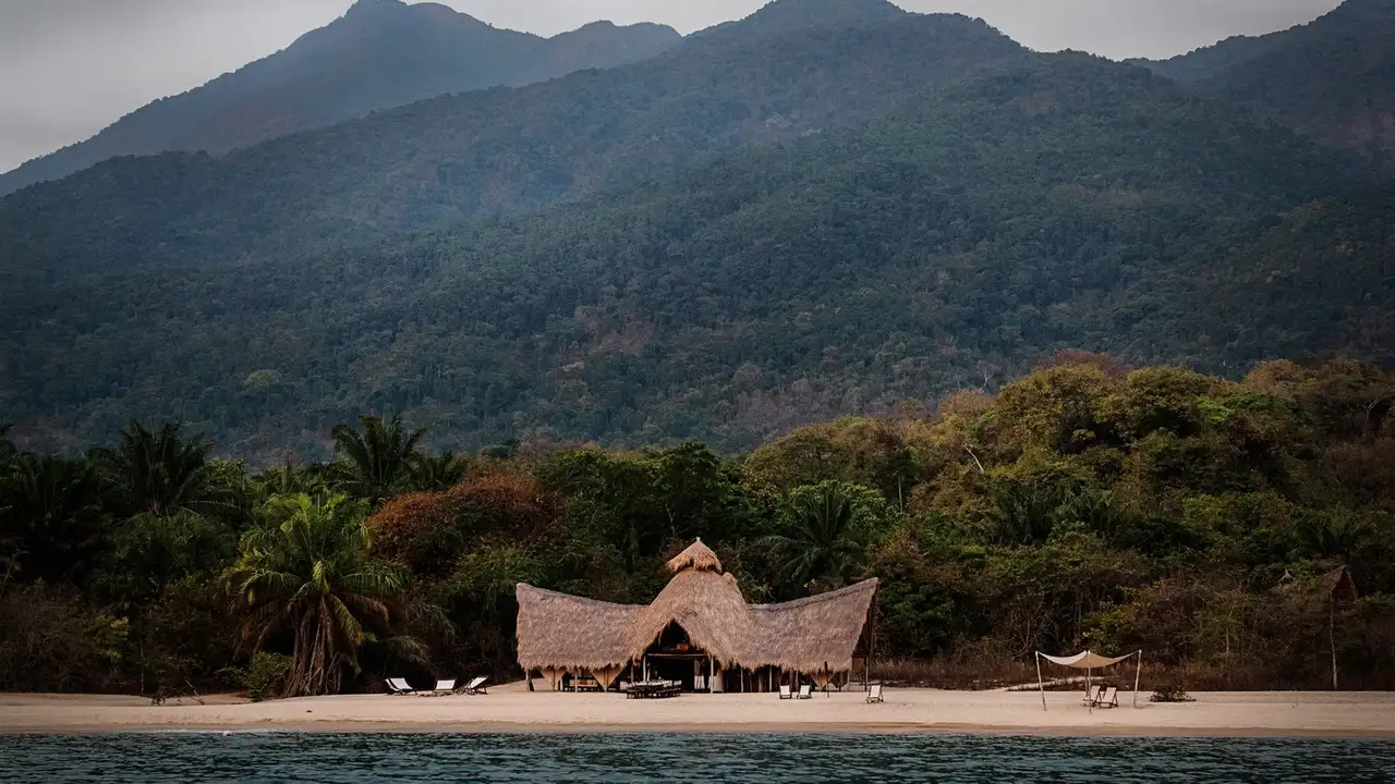 Mahale Mountains chimpanzee tracking on Lake Tanganyika