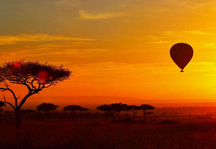 Hot Air Balloon Safari