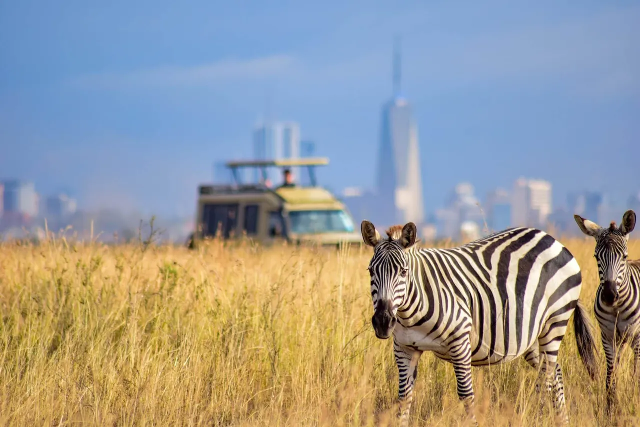 Nairobi National Park - wildlife with city skyline