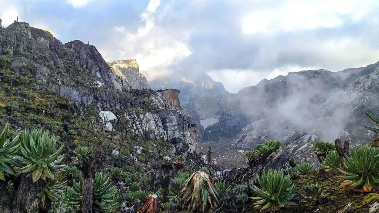 Rwenzori Mountains - glaciers and giant lobelias on the Mountains of the Moon