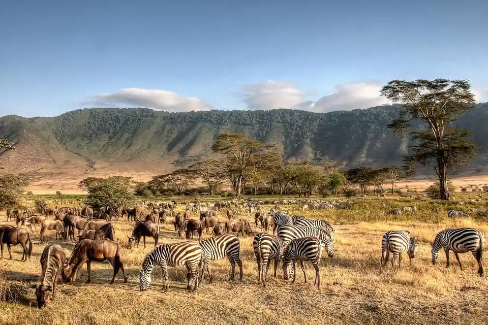 Uganda and Tanzania Explorer - Murchison Falls on the Nile